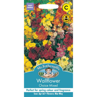 Mr Fothergills Wallflower Choice Mixed