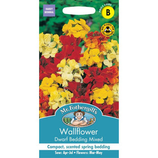 Mr Fothergills Wallflower Dwarf Bedding Mixed