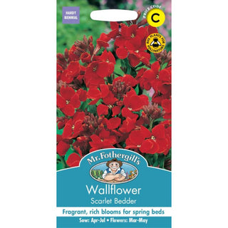Mr Fothergills Wallflower Scarlet Bedder