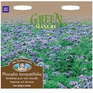Mr Fothergills Gm Green Manu Re Phacelia Tanacetifolia