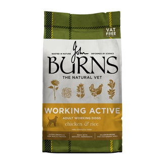 Burns Active Chicken & Rice