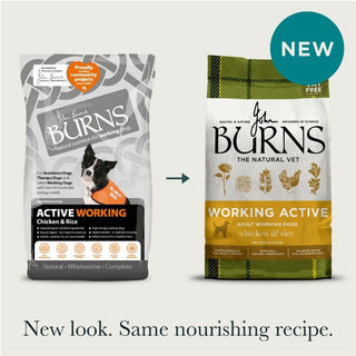 Burns Active Chicken & Rice