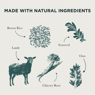 Burns Puppy Original Lamb & Rice