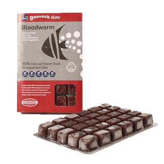 Gamma Frozen Bloodworm Blister Pack