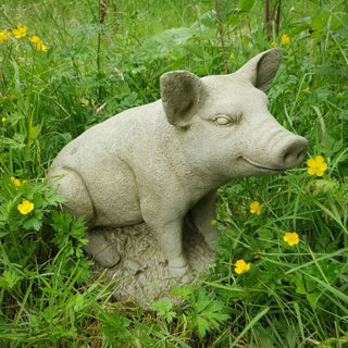 Sparta Sitting Pig