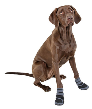 Kerbl Paw Protection Active Dog Boots