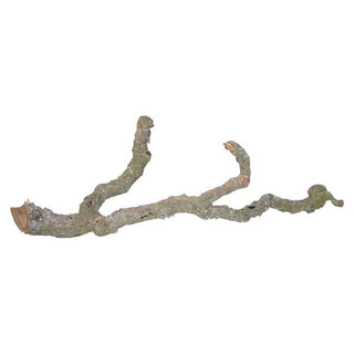 Lucky Reptile Tronchos Cork Branch