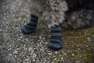 Kerbl Paw Protection Active Dog Boots