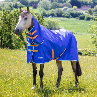 Tempest Original 50 Combo Turnout Rug