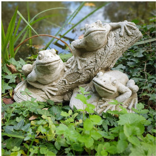 Frogs on Branch