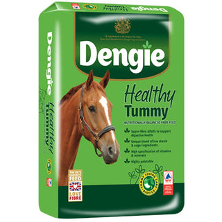 Dengie Healthy Tummy 20kg