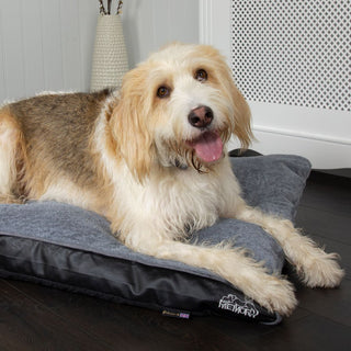 Scruffs Chateau Memory Foam Orthopaedic Pillow