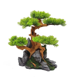 Bonsai Tree On Rock