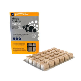 Gamma Frozen Mysis Shrimp + Garlic Blister Pack