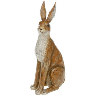 Country Brown Hare Large