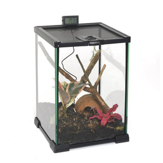Glass Terrarium Flat Packed