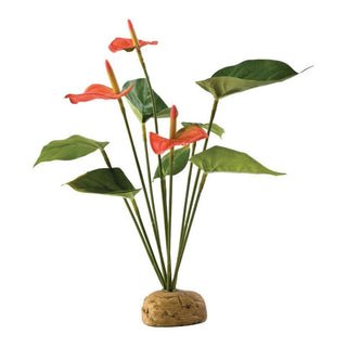 Exo Terra Anthurium Bush