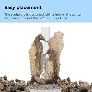 Biorb Seahorses On Coral Natural Small