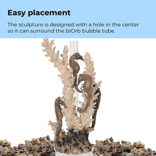 Biorb Seahorses On Coral Natural Medium