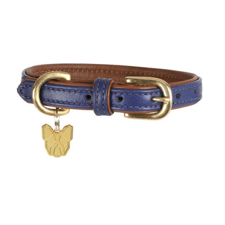 Digby & Fox Padded Leather Dog Collar
