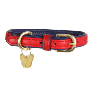Digby & Fox Padded Leather Dog Collar