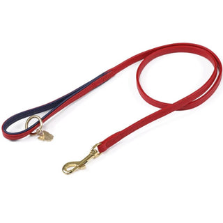 Digby & Fox Padded Leather Dog Lead
