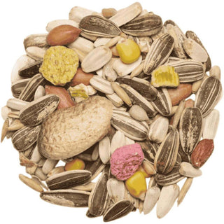 Countrywide Parrot Mix 2.5kg