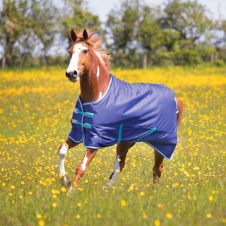 Tempest Original 100 Turnout Rug