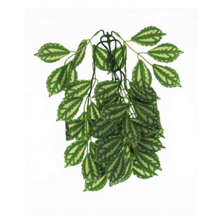 Pro Rep Silk Hanging Plant Watermelon Peperomia