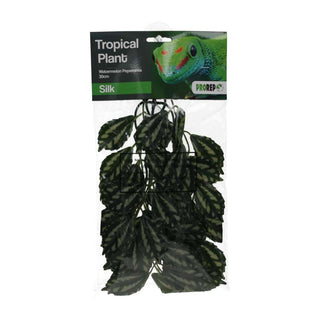 Pro Rep Silk Hanging Plant Watermelon Peperomia