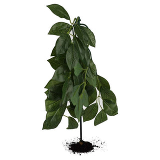 Pro Rep Silk Hanging Plant Weeping Fig
