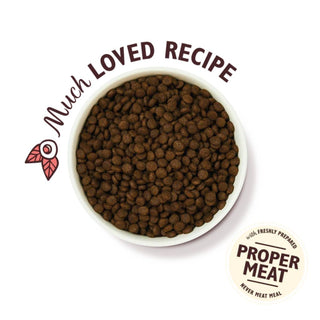 Lily's Kitchen Puppy With Chicken & Salmon