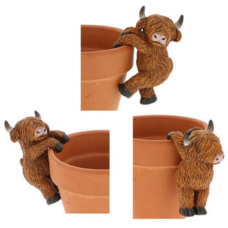 Happy Highland Cow Pot Hangers