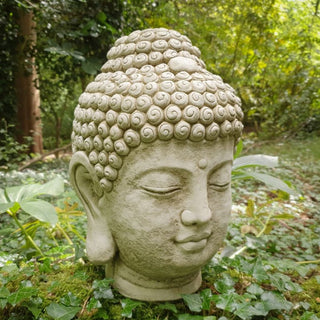 Sparta Statues Medium Buddha Head