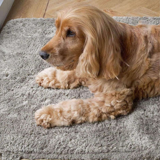 Big Softie Rug Taupe
