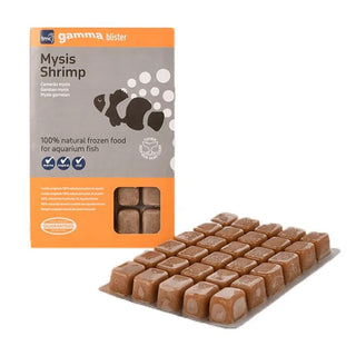 Gamma Mysis Shrimp Blister Pack