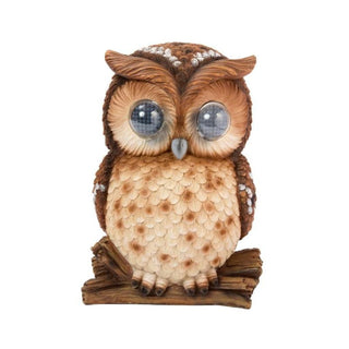 Animal Magic Blinkin' Owl