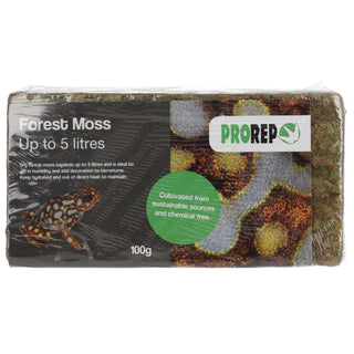 Pro Rep Forest Moss Brick