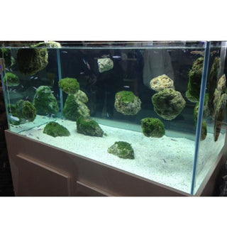 Avatar Swimming Rock 25-30cm