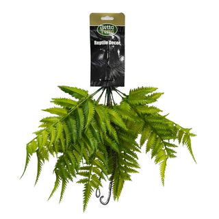Betta Terra Shuttlecock Fern With Suction