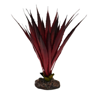 Betta Terra Red Phormium Plant