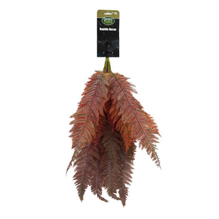 Betta Terra Orange/Red Fern With Suction