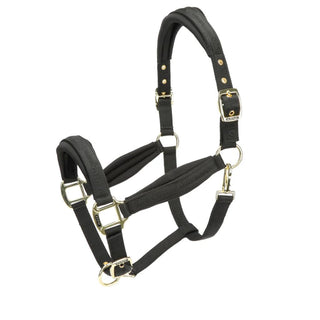 Arma Padded Headcollar