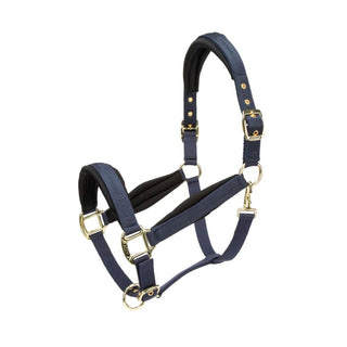 Arma Padded Headcollar