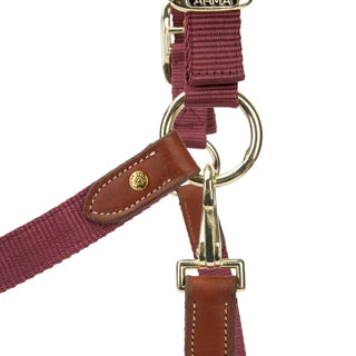Arma Porto Headcollar