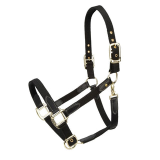 Arma Porto Headcollar
