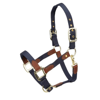 Arma Porto Headcollar