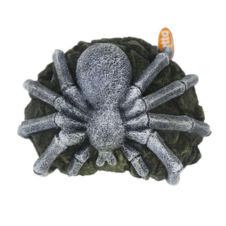 Betta Tarantula Rock