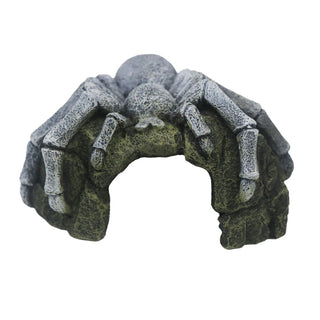 Betta Tarantula Rock