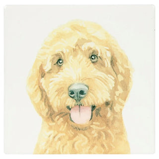 Licks & Kisses Cockapoo Coaster